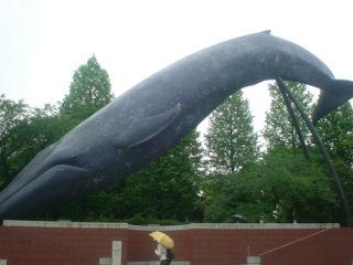鯨オブジェ