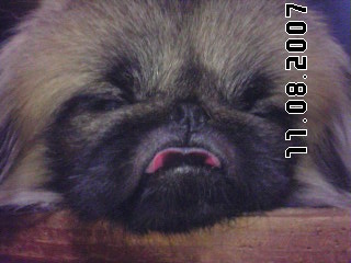 rufi