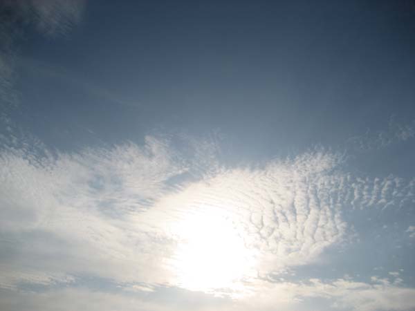 巻積雲の群れと太陽