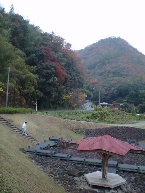 １１月１８日に行った芳井町の天神峡