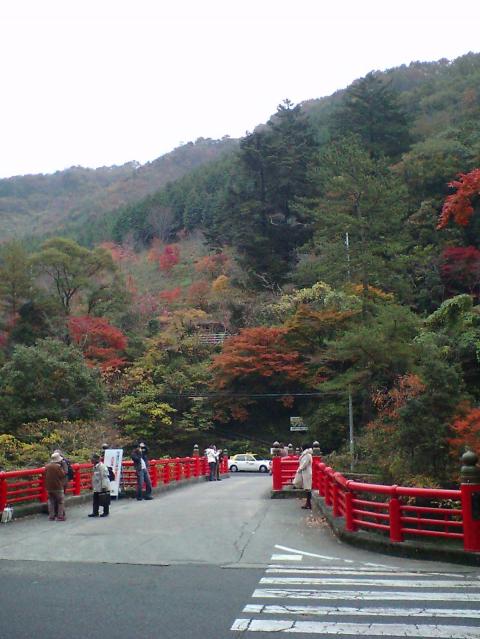 芳井町の天神峡