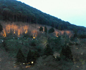 清水寺から見た風景