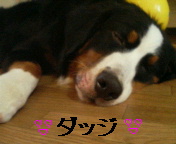 P1020040.JPG