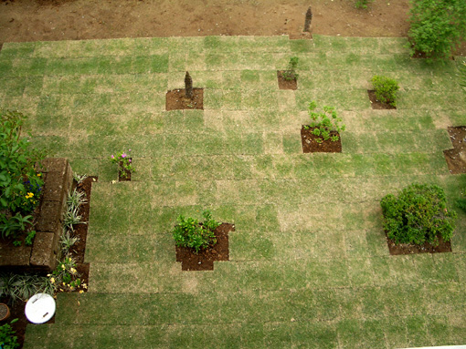 庭弄り　2007春　3.jpg