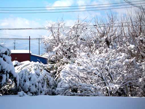 雪景色　Ａ.jpg