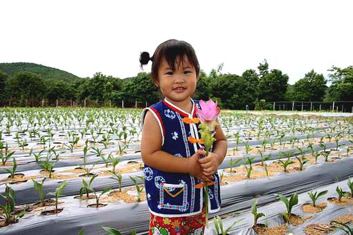 クルクマ　花と少女.jpg