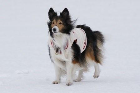 2009030737 ホントに風強いなぁ.jpg