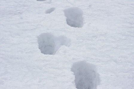 2009030738 巨人の足跡?.jpg