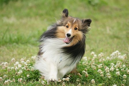 2010062613.jpg
