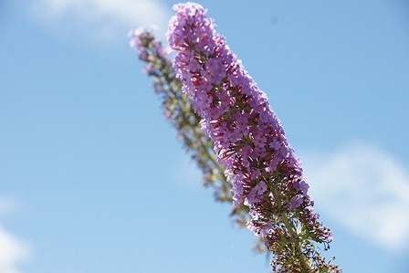 2010071803.jpg