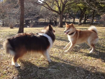 2010011011.jpg