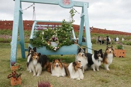 2009101216　お花のブランコの前で全員集合.jpg