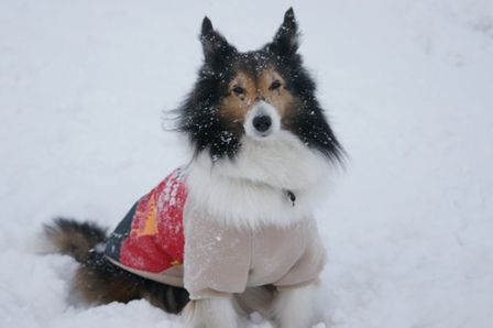 2010030104.jpg