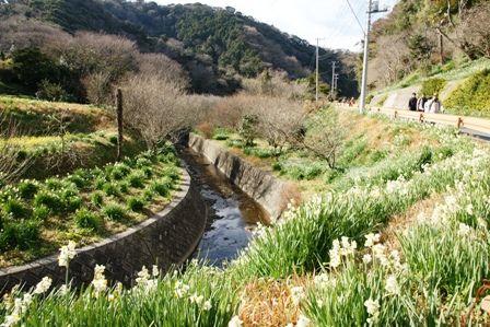 2010012306 のどかぁ~.jpg