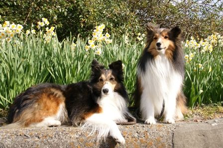 2010012307 こんなでいいですか?.jpg