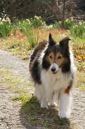 2010012308 一人散歩?.jpg