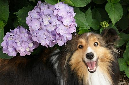 2010062010.jpg