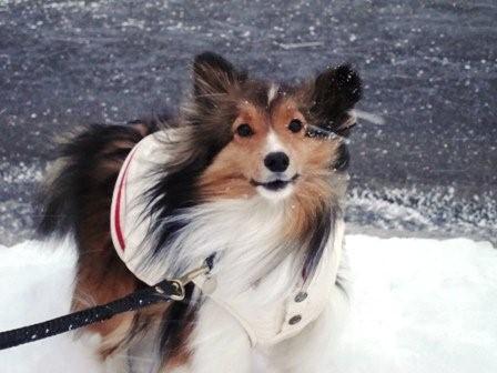 2009030703 僕は風の子.jpg