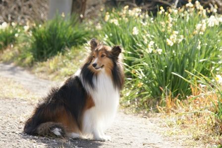 2010012309 すましてみました(笑).jpg