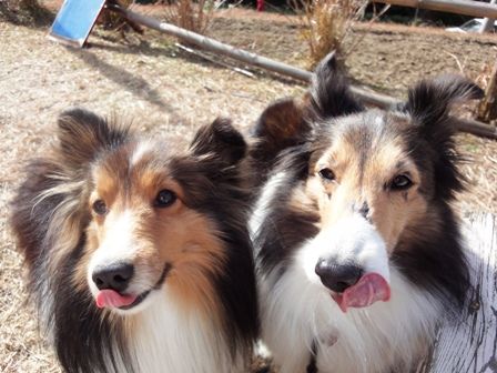 2010012310 私たちにも頂戴!.jpg