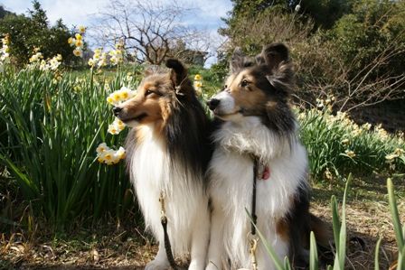 2010012311 何か音がしたよ.jpg