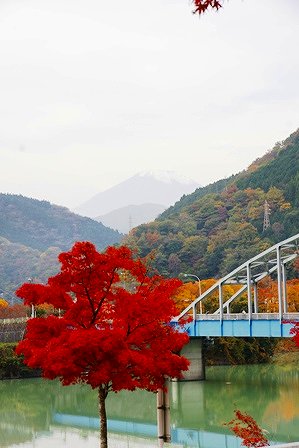 2010111309.jpg