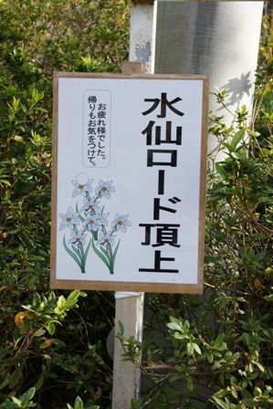 2010012312 頂上到着.jpg