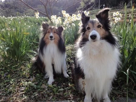 2010012314 まだ撮るの?.jpg