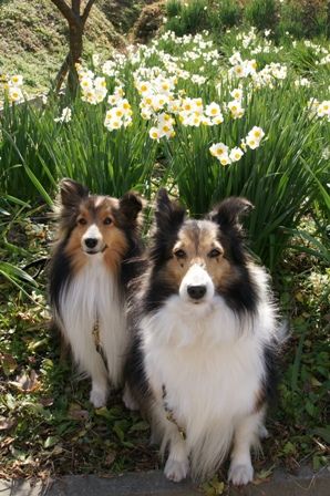 2010012315 ご褒美頂戴ね.jpg