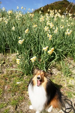 2010012318 もう疲れたぁ~.jpg