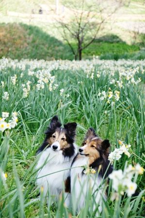 2010012319 どうきまってる?!.jpg