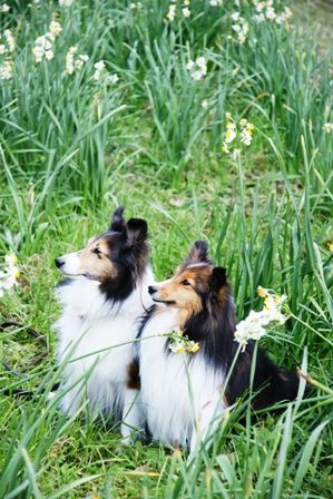 2010012320 誰か呼んだ?.jpg