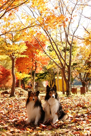 2009110321.JPG