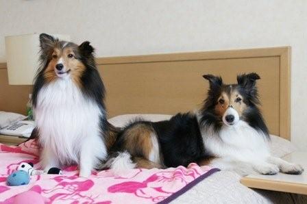 2009030708 またモデルですかぁ~.jpg