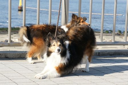 2010012325 伸びしてみました!.jpg