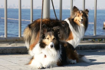 2010012326 親子ショット.jpg