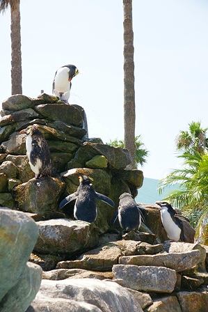 2010090418.jpg