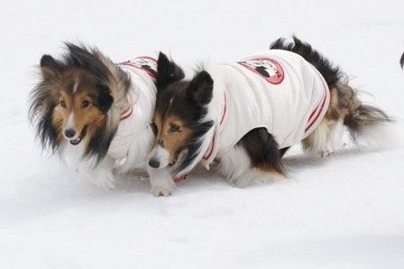 2009030724 親子で何してる?.jpg