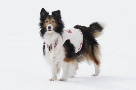 2009030725 白い大地を踏みしめて.jpg