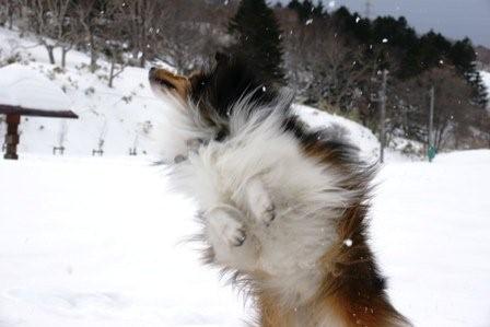 2009030604 トレジャー!ジャンプ!.jpg