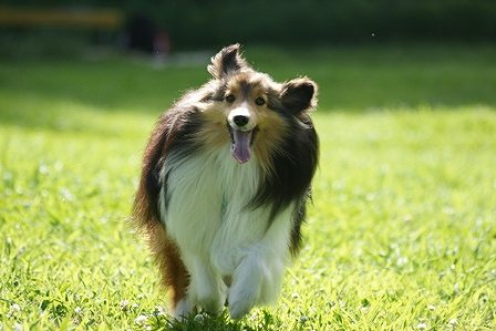 2010071720.jpg