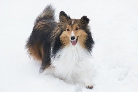 2009030605 ご機嫌!トレジャー.jpg