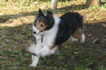 2009031503　飛んでるミルキー.jpg
