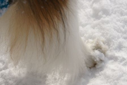 2010030131.jpg