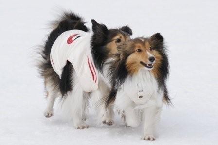 2009030734 お母さんやめてよぉ.jpg