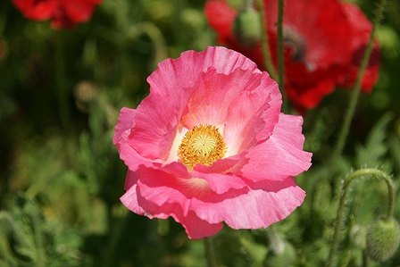 2010051528.jpg