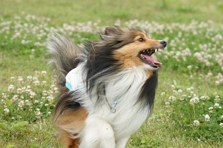 2010062605.jpg