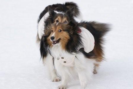 2009030735 乳母ぁ~ 助けてよ!.jpg