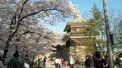 NEC_0182.jpg