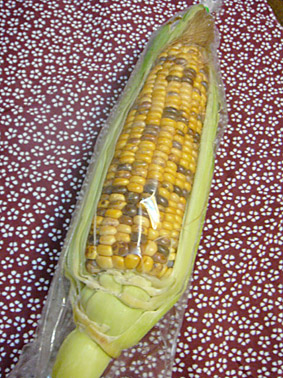 081009-corn.JPG